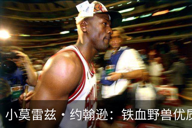 小莫雷兹·约翰逊：铁血野兽优质冠军拼图 开发三分顺位直逼乐透
